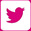 Twitter Logo